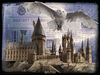 Harry Potter - Hogwarts & Hedwig 300pc