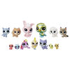 Littlest Pet Shop The Diva Squad