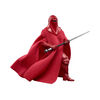 Star Wars The Vintage Collection Emperor's Royal Guard Toy