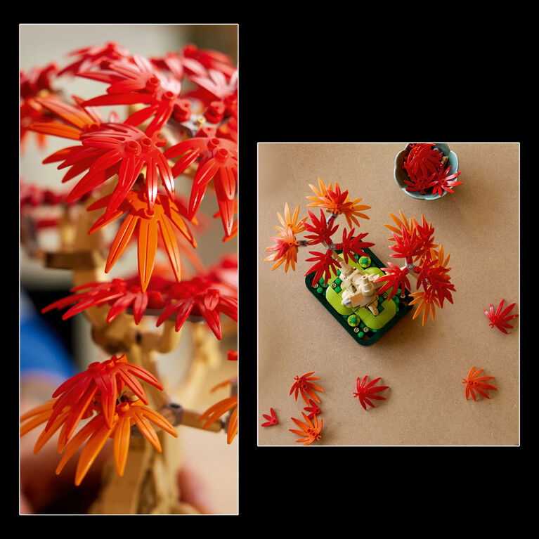 LEGO Botanicals Japanese Red Maple Bonsai Tree - Home Decor DIY Kit for Adults 18+ - 10348