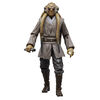 Star Wars The Black Series Kit Fisto, Star Wars: Revenge of the Sith 20th Anniversary Collectible 6 Inch Action Figure