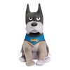 DC SUPER-PETS Small Plush ACE THE BAT-HOUND Toy, BATMAN, 9-Inch Stuffed Animal - R Exclusive