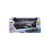 1:24 Formula 1 RC Assortment