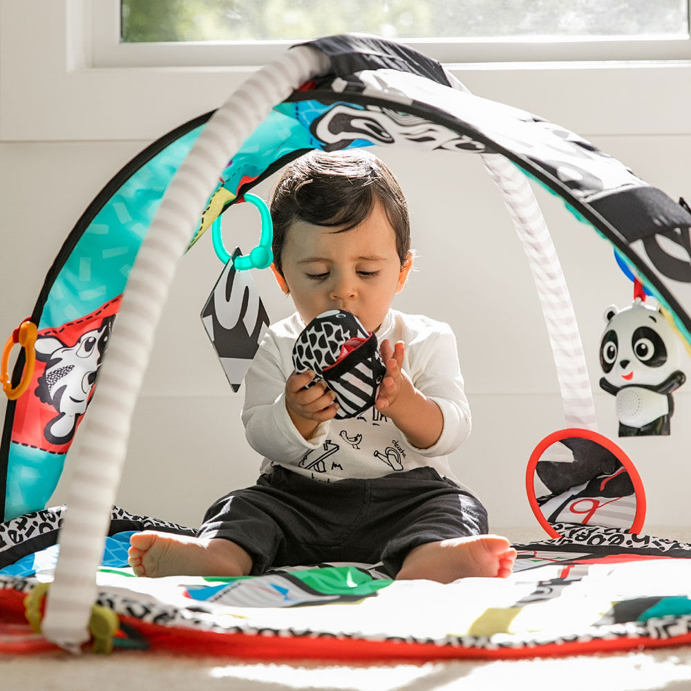 baby einstein bold new world play mat
