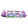 Hatchimals CollEGGtibles - Boîte de 12 oeufs avec Saison 4 édition spéciale (les styles et les couleurs peuvent varier).