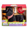 Pitter Patter Pets Wiggle Jiggle Dachshund - R Exclusive