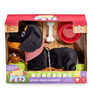 Pitter Patter Pets - Teckel Wiggle Jiggle - Notre exclusivité