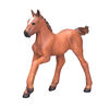 ALEX - Arabian Foal Chestnut - Medium