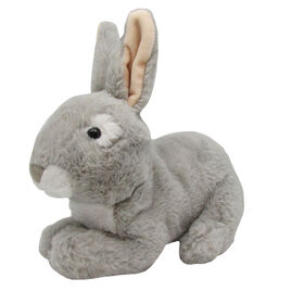 ALEX - Lapin 10"