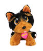 Yorkie en peluche à adopter, série 2 de Rescue Runts