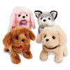 Pitter Patter Pets - Playful Puppy Pal Grey and White Husky - R Exclusive - English Edition