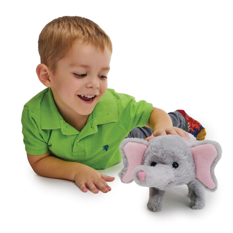 Pitter Patter Pets  - Coffret Stroll Along Elephant - Notre exclusivité