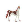Spirit Mini Horse Collection