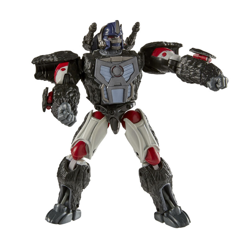 Transformers R.E.D. [Robot Enhanced Design], figurine Optimus Primal de 15 cm, non convertible, dès 8 ans
