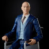 Hasbro Marvel Legends Series X-Men Magneto and Professor X 6-inch Collectible Action Figures Toys