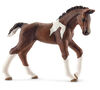 Horse Club - Trakehner Foal