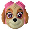 Paw Patrol Skye Half Mask