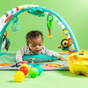 5-in-1 Your Way Ball Play Activity Gym