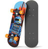 Rudeboyz Mini Skateboard - Robot  - 17"