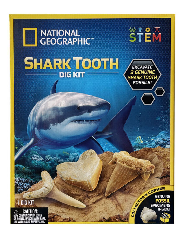 National Geographic Shark Tooth Dig Kit