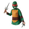 Teenage Mutant Ninja Turtles Raphael Sais Accessory