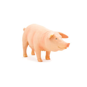 ALEX - Porc (Truie) - Moyen