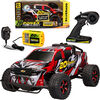 20V Platinum F150 High Speed Rc - English Edition