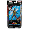 Hasbro Marvel Legends Series Marvel's Wasp, Ant-Man and the Wasp: Quantumania Marvel Legends Action Figures, 6 Inch