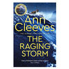 The Raging Storm (Two Rivers #3) - English Edition