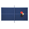 Reflex Mid-Sized 6-foot Table Tennis Table