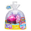 Little Live Pets Lil' Dippers Single Pack - Bellariva