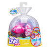 P'tits Plongeurs Little Live Pets - Bellerive