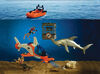 Animal Planet - Hammerhead Shark Adventure - R Exclusive