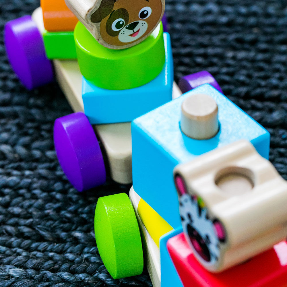 Baby einstein wooden hotsell train