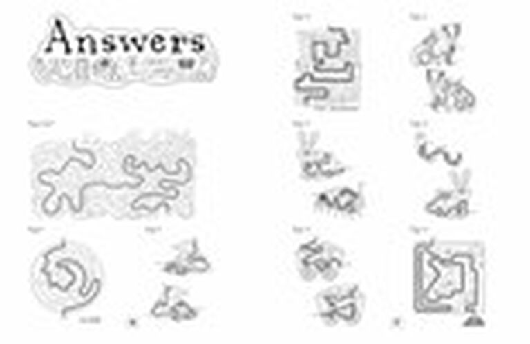 Maze Quest: Hidden Hero - English Edition