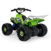 KidsVip Injusa 12V Kawasaki Ride-On ATV/Quad