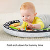 Fisher-Price 2-in-1 Flip & Fun Activity Gym