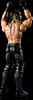 WWE Elite Action Figure Seth Rollins