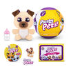5 Surprise Plushy Pets Series 2 By ZURU