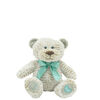 2020 Starlight Bear