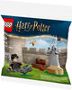LEGO Harry Potter Quidditch Lesson Building Set - with Harry Potter Minifigure, Snitch, and Quaffle - 30706