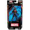 Hasbro Marvel Legends Series Future Ant-Man, Marvel Comics Marvel Legends Action Figures, 6 Inch