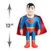 Ensemble de 2 Peluches DC Super Pets SUPERMAN et KRYPTO de 30 cm (12 pouces), Film Krypto et les Super-Animaux - Notre exclusivité