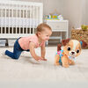 VTech Baby Explore & Move With Puppy - French Edition