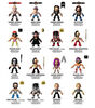 Loyal Subjects - WWE Collection - Styles may vary