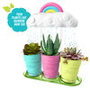 Blume Rainbow Sparkle Surprise
