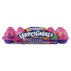 Hatchimals CollEGGtibles, Boîte de 12 oeufs Secret Snacks Cosmic Candy, édition limitée