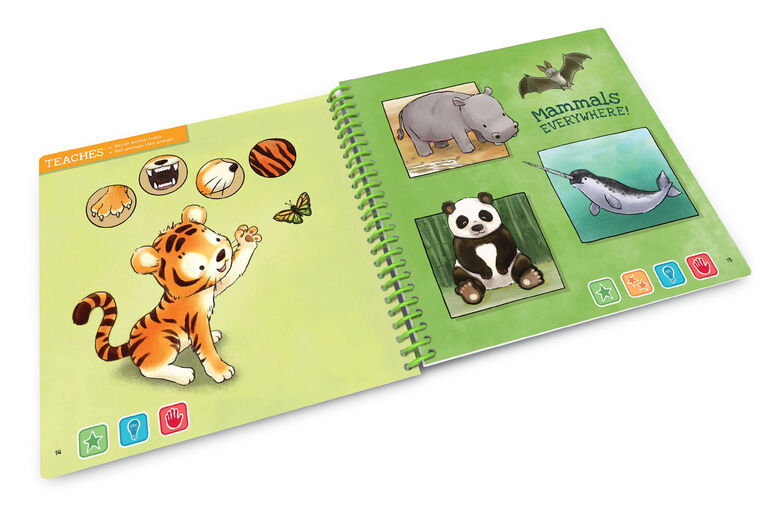 LeapFrog LeapStart Les bébés animaux - livre d'activités - édition anglaise
