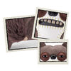 Fuggler Fart Face 9-inch Assortment Series 1 (Suspicious Fox - Chase) by ZURU