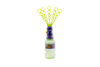 Gazillion Bubbles - Wandtastic/Green